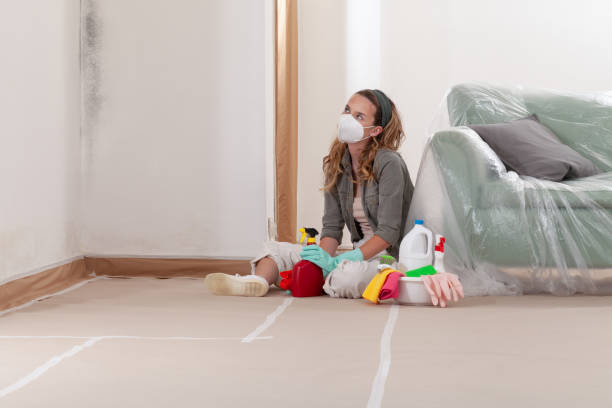Reliable Black Mold Removal contractor in Gibson Island, MD by WQB Mold Removal